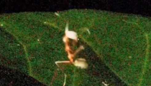 post-image