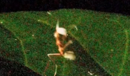 post-image