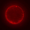 post-image